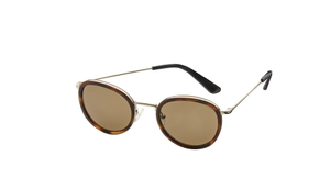 Braune Sonnenbrille 1