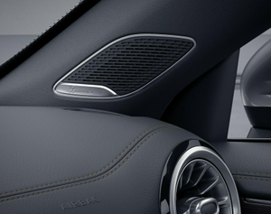 Lautsprecherabdeckung schwarz 1