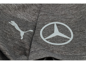 Mercedes und Puma Logo 2