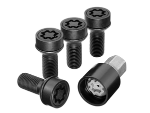 Radsicherungssatz Einzelteile 1