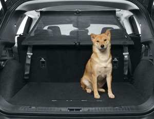 original-ford-kuga-ab-12-2019-gepaeckraum-trennetz-2478110 1