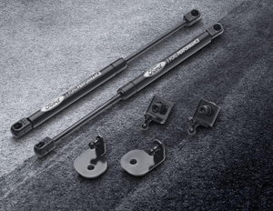 original-ford-performance-haubenfilter-2215896-fuer-mustang-ab-03-2015 2