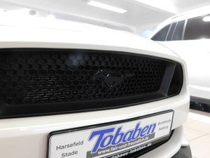 original-kuehlergrill-emblem-schwarz-1901933-fuer-ford-mustang-pony-ab-2015 2