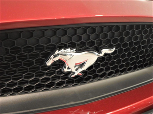 original-kuehlergrill-emblem-logo-silber-verchromt-1922925-ford-mustang-pony-ab-205 2