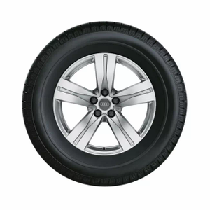 Audi Winterrad 1