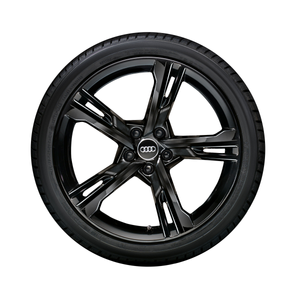 Audi-Winter-Rad-5-Arm-Ramus-Audi-A5-S5-F5 1