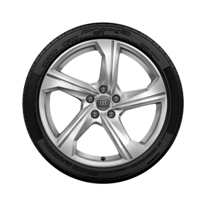 Audi-Sommer-Rad-5-Arm-Audi-A6-4A 1