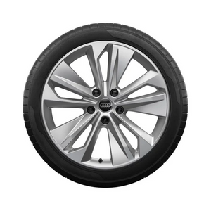 Audi Winterrad, 5-Doppelarm-Falx Audi Q6E 1