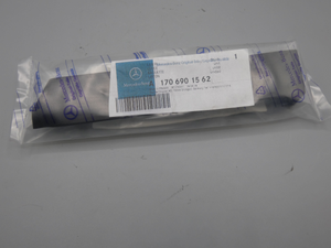 Leiste, Kotflügel hinten links 5