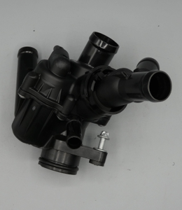 Kühlwasser-Thermostat 6