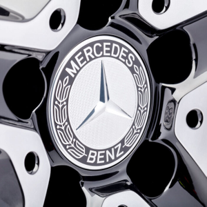 Stern mit Lorbeerkranz 3