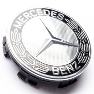 Stern mit Lorbeerkranz 4