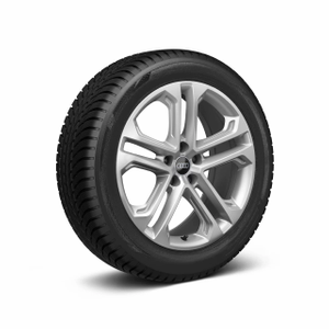 Rad, 5-Doppelspeichen 8,0Jx19, Reifen 235/55 R19 105W XL 1