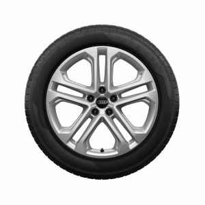 Rad, 5-Doppelspeichen 8,0Jx19, Reifen 235/55 R19 105W XL 2