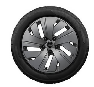 Rad, 5-Arm-Dynamik platingrau, 8,0Jx19, Winterreifen 225/55 R19 103H XL, vorn-2 1