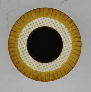 Ölfilter C-Klasse W202, 203, 204, E-Klasse W210, 211, G-Modell W461 *A6111800009-10 4