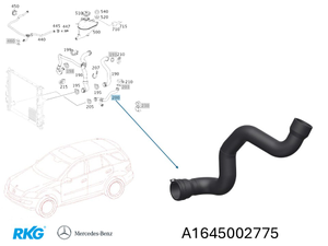 Kühlerschlauch unten zum Motor. ML W164 *A1645002775* Original Mercedes-Benz-1 1