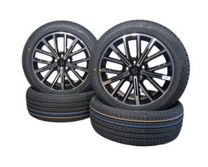 Original Winterkomplettrad-Satz für Leapmotor B10 225-50R18 / 235-50R18 Winterräder 129/130-2 1