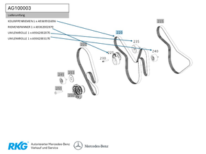 Teilesatz Fahrzeug: WDB9670251L946003-1 1
