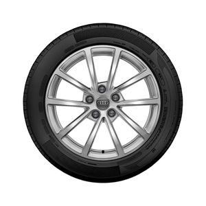 Rad, 10-Speichen 7,5Jx17, Winterreifen 225/60 R17 99H, rechts 1