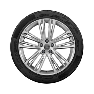 Rad, 5-Doppelspeichen-V 8,5Jx20, Winterreifen 255/40 R20 101W XL, rechts 1