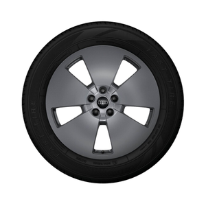Rad, 5-Arm-Aero graphitgrau, 8,0Jx19, Winterreifen 255/55 R19 111H XL 1
