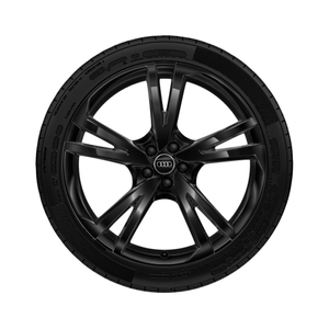 Rad, 5-Arm-Falx schwarz, 10,0Jx22, Winterreifen 285/35 R22 106W XL 1