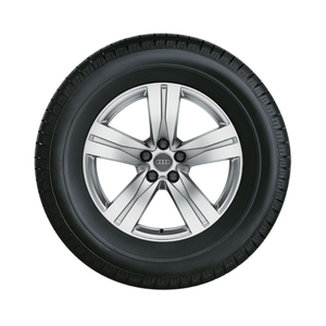 Rad, 5-Speichen 8,0Jx18, Winterreifen 255/60 R18 108H, rechts 1
