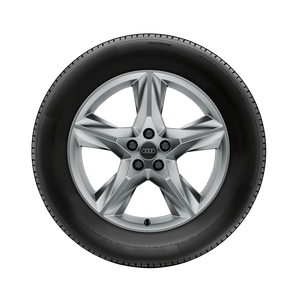 Rad, 5-Speichen-Stern 8,0Jx19, Winterreifen 255/55 R19 111H XL, links 1