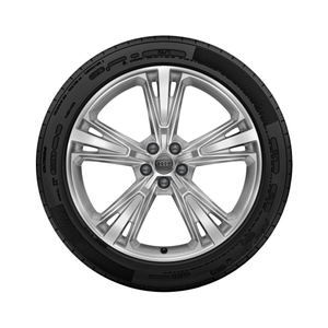 Rad, 5-Segmentspeichen galvanosilber metallic, 10,0Jx21, Winterreifen 285/45 R21 113V XL 1
