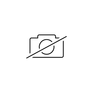 Dekorblenden Türzuziehgriffe grau Perleffekt, passend zum Rallye-Design, passend für vorn und hinten 1