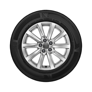 Rad, 10-Speichen 6,5Jx16, Winterreifen 195/55 R16 91V XL, rechts 1