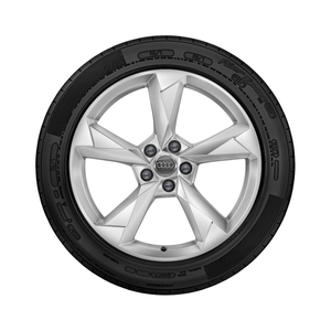 Rad, 5-Arm-Dynamik 7,0Jx19, Winterreifen 235/50 R19 99V 1