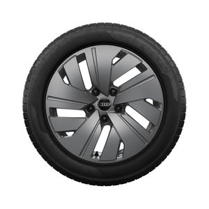 Rad, 5-Arm-Dynamik platingrau, 8,5Jx19, Winterreifen 245/50 R19 105H XL, hinten 1