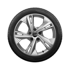 Rad, 5-Doppelarm-Flag 8,0Jx19, Winterreifen 235/60 R19 107H XL, links vorn 1