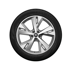 Rad, 5-Y-Speichen 9,0Jx20, Winterreifen 255/45 R20 101T, rechts hinten 1