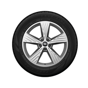 Rad, 5-Arm 8,0Jx19, Winterreifen 235/55 R19 101T, rechts vorn 1