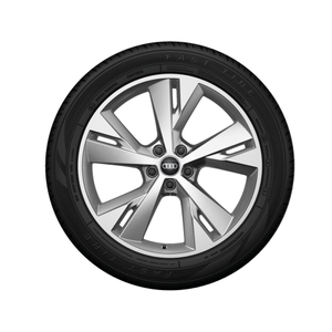 Rad, 5-Y-Speichen 9,0Jx20, Winterreifen 255/45 R20 101T, links hinten 1