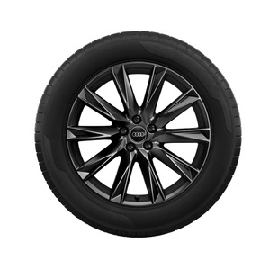 Rad, 10-Speichen-Lamina schwarz, 8,0Jx19, Winterreifen 235/55 R19 101T, links vorn 1