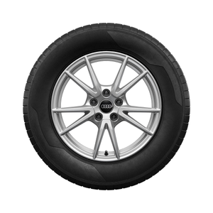 Rad, 5-Doppelspeichen 7,5Jx17, Winterreifen 215/55 R17 98H XL, rechts 1