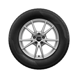 Rad, 5-Doppelspeichen 7,5Jx17, Winterreifen 215/55 R17 98H XL, links 1