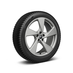 Rad, 5-Arm galvanosilber metallic, 8,0Jx20, Winterreifen 255/50 R20 105V XL, rechts 1