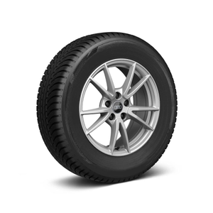 Rad, 5-Doppelspeichen 7,0Jx17, Winterreifen 215/70 R17 105H XL, rechts 1