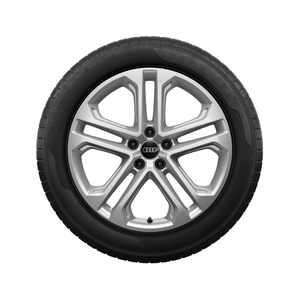 Rad, 5-Doppelspeichen 7,0Jx19, Winterreifen 235/55 R19 105H XL, links 1