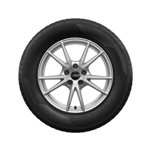 Rad, 5-Doppelspeichen 7,0Jx17, Winterreifen 215/70 R17 105H XL, links 1