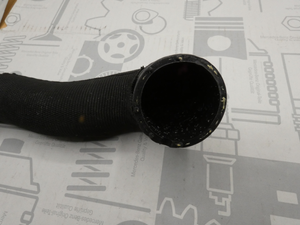 Original Mercedes-Benz Kühlerschlauch unten. E420 CDI (W211) 5