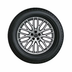 Audi Winterrad