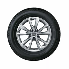 Audi Winterrad