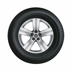 Audi Winterrad
