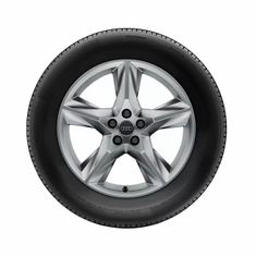 Audi Winterrad